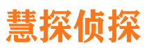 正阳市侦探调查公司